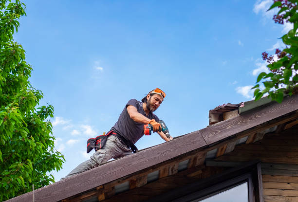 Best Steel Roofing  in Winter Gardens, CA